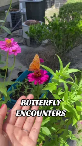 THIS is the best part! 🦋 The fact that I was literally wearing a floral butterfly t-shirt with a quote was everything to me! An affirmation from God that he as well as I indeed believe and are proud of who I am, who I’ve become and who I was always meant to be! Thank you Lord you are amazing! 😍🥹🦋🙏🏽 