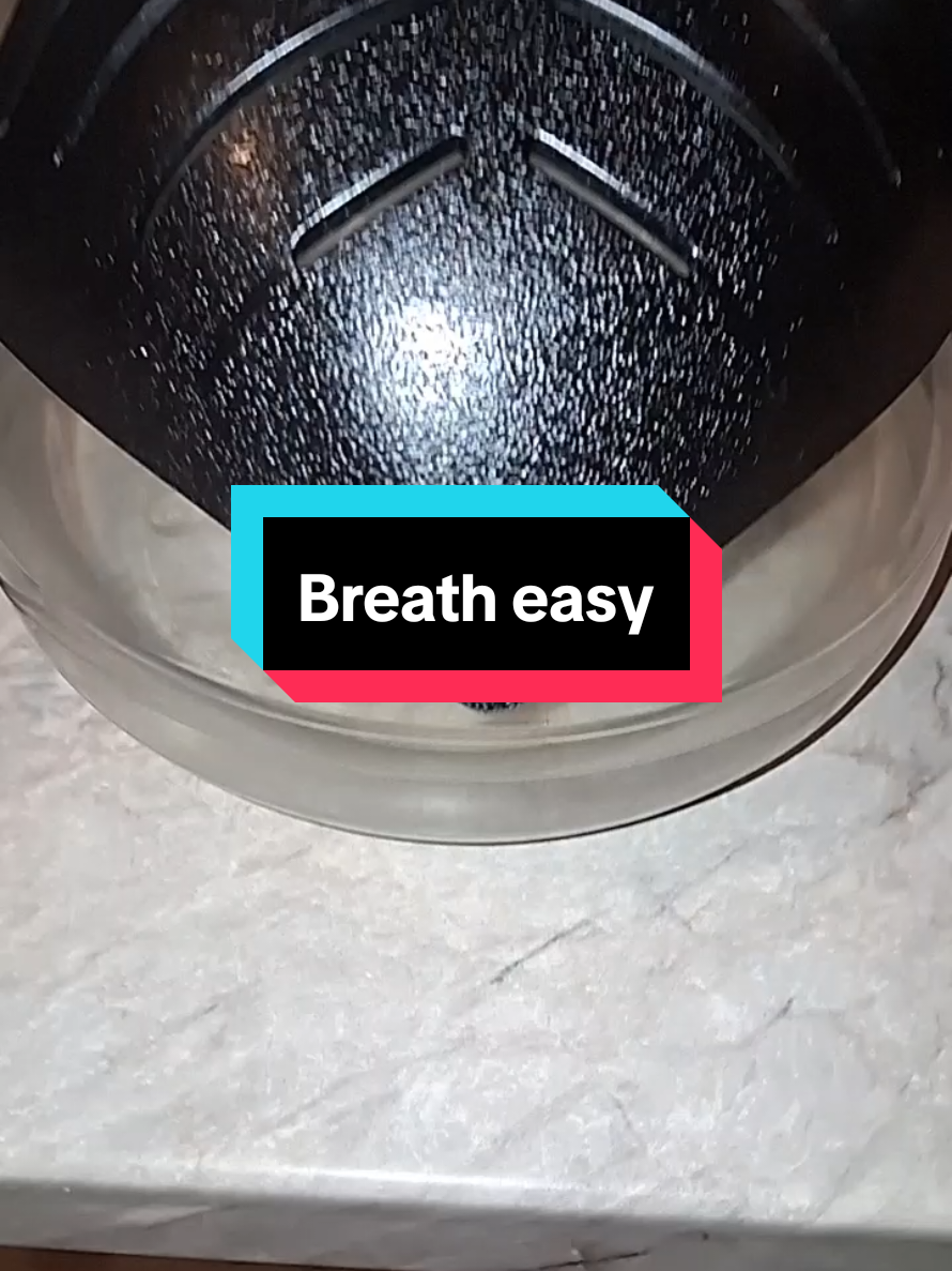 Breath easy! #TikTokFinds #airpurifier #breatheasy 