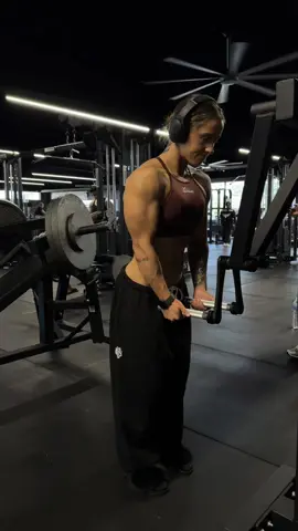 Little delt pump if I will 