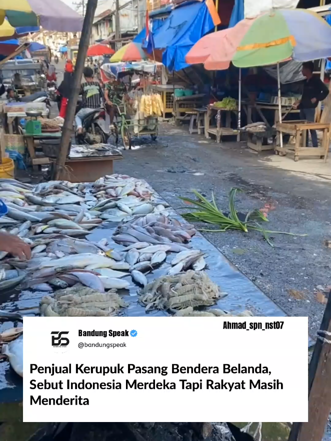 Seorang penjual kerupuk di  mengejutkan warga saat memasang bendera Belanda di lapaknya. Di balik aksinya, ia menyampaikan pesan pedas: “Indonesia memang merdeka, tapi rakyatnya masih menderita.” Ucapannya mencerminkan ketidakpuasan sebagian warga kecil terhadap kondisi ekonomi dan kesejahteraan yang dirasa belum merata. Dengan penghasilan pas-pasan, ia bekerja keras setiap hari hanya untuk memenuhi kebutuhan hidup sehari-hari. Aksi sederhana menaruh bendera Belanda ini menjadi simbol protes sekaligus kritik halus terhadap pemerintah, mengingatkan bahwa kemerdekaan simbolik saja tidak cukup tanpa kesejahteraan rakyat. Warga sekitar menilai langkahnya berani dan penuh makna, meski kontroversial. Source: Ahmad_spn_nst07 #bandungspeak #kritik #viral #belanda #indonesia 
