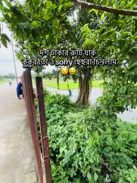 #Lojja hin gula😂manus ar tk mara khaya abar oi manus ar samne asa kivabe mukh dekhai mathai asa na adar loja diya jonmo dai ni.... asola bujhta vul korcilm 😒oi mukh a abar takaiya thaka....😂ki ak obostha 