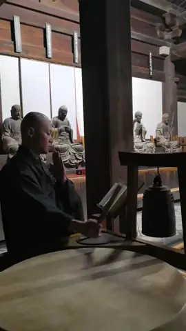 晨光漫过京都黄檗山的檐角时，万福寺的早课鼓声已在古刹间荡开。明代传承至今的鼓点沉厚如雷，混着修行僧们的梵呗声，漫过斑驳的遗存墙垣——那是时光磨不灭的虔诚。  看他们垂目诵经的模样，指尖捻着念珠，喉间吐纳着千年的韵律，周遭的一切仿佛都静了。鼓槌起落间，敲的是晨钟暮鼓的寻常，也是不问岁月的专注。  原来有些传承，从不需要刻意喧哗，只在日复一日的修行里，自会生出穿越时空的力量。#京都黄檗山万福寺 #黄檗文化 #京都黄檗山万福寺｜夏日元韵 #黄檗宗大本山萬福寺 