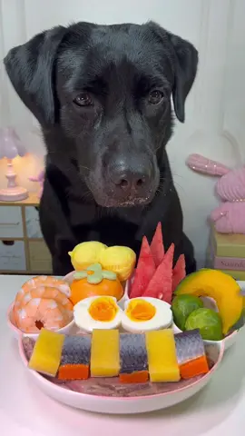 #labrador #dog #asmr #immersive #eating 