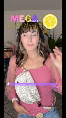 The Lisa Bag- Nylon