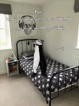 #fyp #مدرسه #اكل #عطله_رسميه #انت #foryou #رياكشن #reaction 
