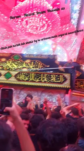 #karbala #viral #video 