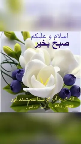 اسلام وعلیکم ورحمتہ اللہ وبرکاتہ  صبح بخیر  آمین ثم آمین یا رب العالمین 🤲  #foryou #unfreezmyaccountplzz #viralaccountplease #viralthisvideo #foryou 