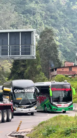 OMEGA 11088 🤍💚 COTRANS 90884💛💛 CONCORDE 5050 🩶🖤 #transporte #busologo #busologiaoficial #busescolombianos #busesdecolombia🇨🇴🇨🇴  @bustracker_ph  @PIPE   
