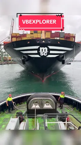 ASD TUGBOAT MANEUVERING #asdtug #asdtugmaster #seamanlife #sea #harbour 
