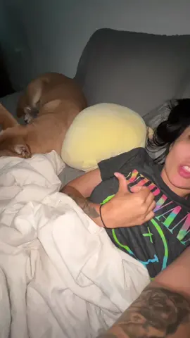 she’s snoring rn pray for me #dogmom #ilovemydog #funnydog 