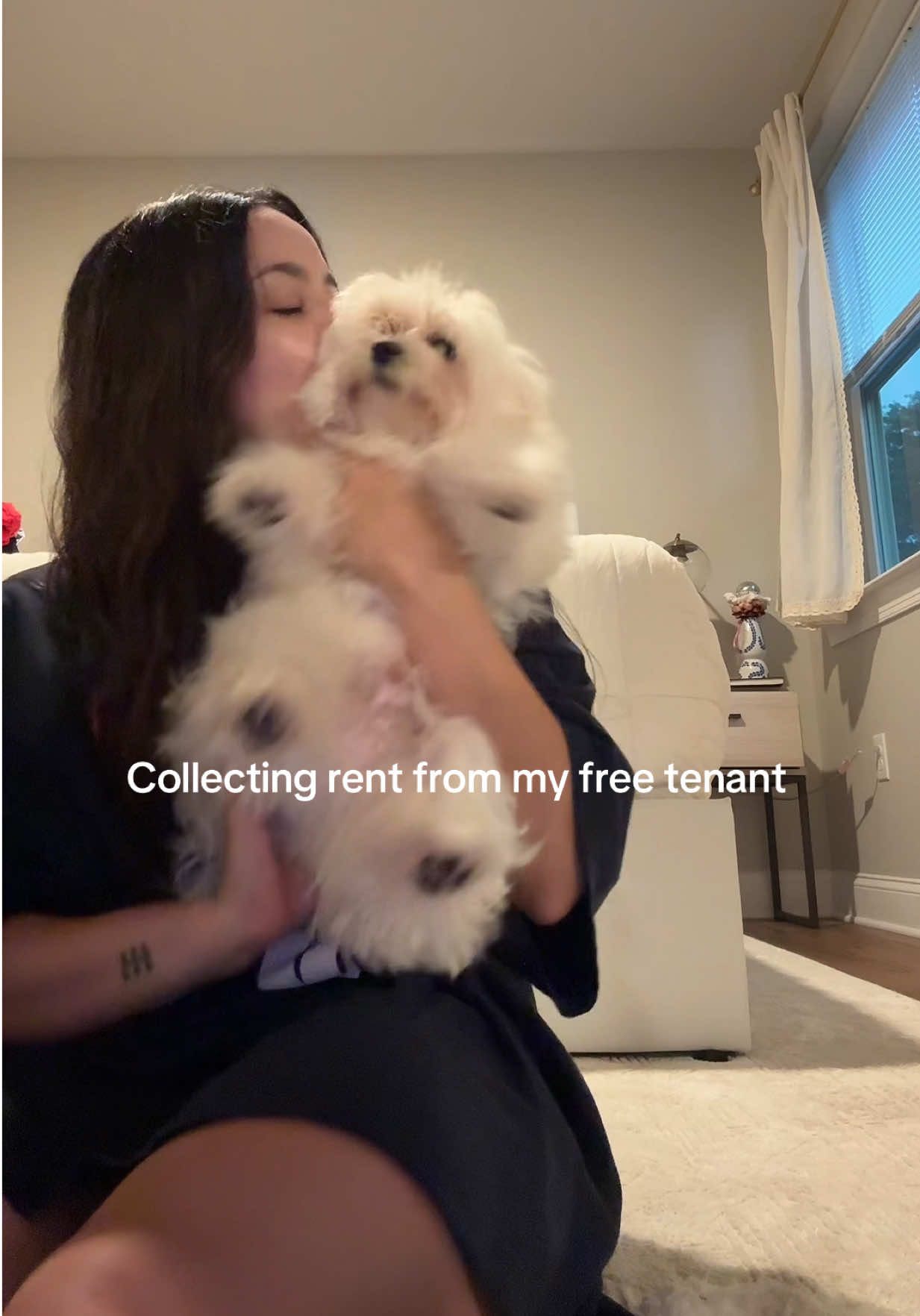 The least he can do 🥰🐾🤍🙂‍↕️ #dogsoftiktok #adorablepuppy #fypage #rent #dogtok 