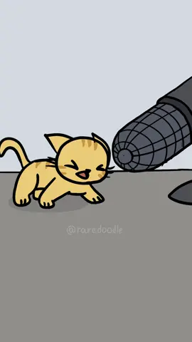 Lil gatito with another banger 🔥 #animation #kitten #cat