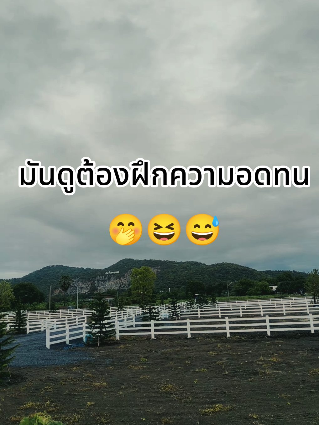 มาดิ..พร้อมลงสนาม😆😅#สตอรี่ความรู้สึก #ฟีดดดシ 