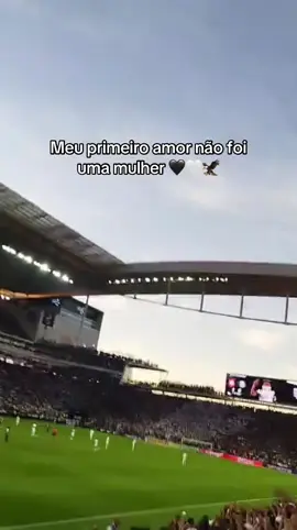 Te amo Corinthians #futebol #fyppppppppppppppppppppppp #fyp #corinthians 