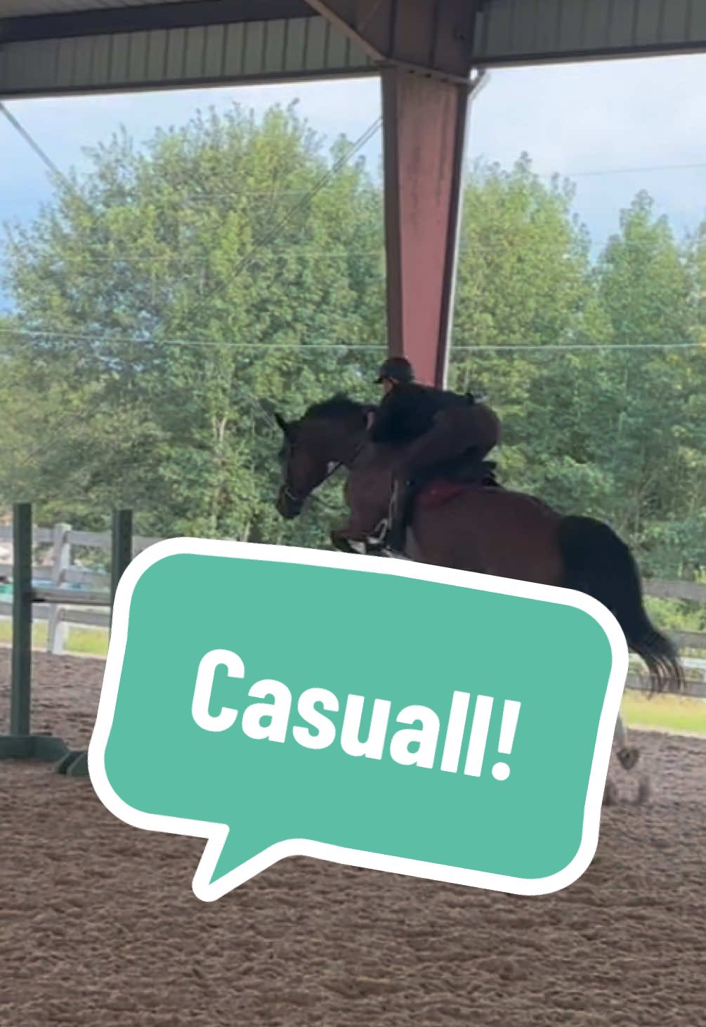 Finding my stride to the bigger stuff again. Haven’t jumped this big since Stella 🥹  - - Tags: - #hunterjumper #showjumper #casall #equestrian #usef 