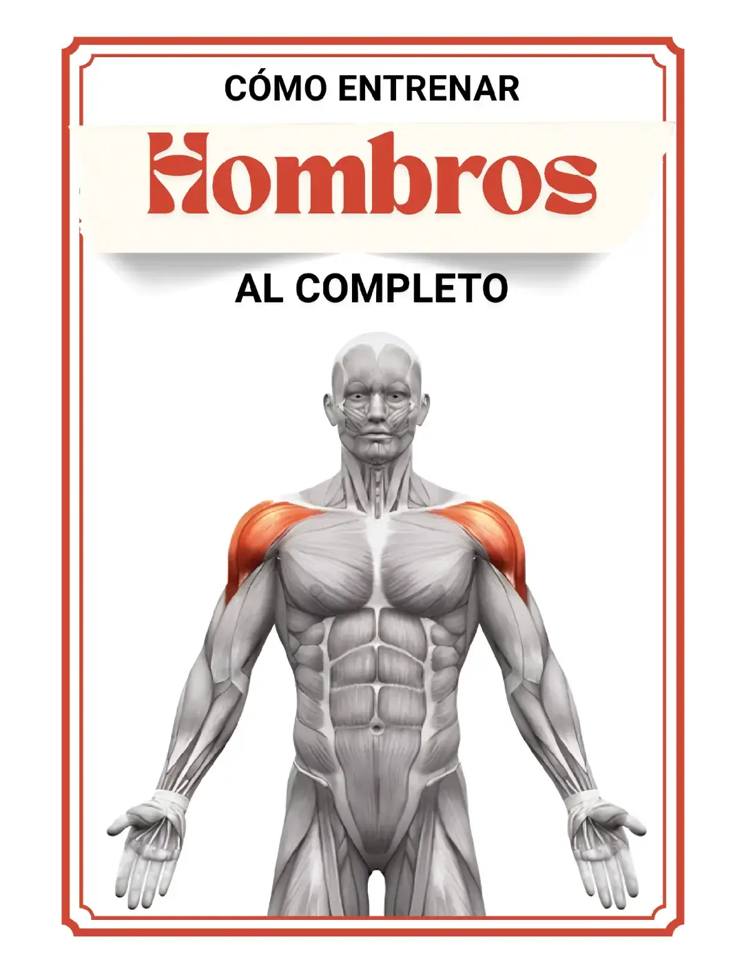 #Gym #gimnasio #rutina #hombros #shoulder #deltoides #gymrat  #ejercicio #Fitness #fit