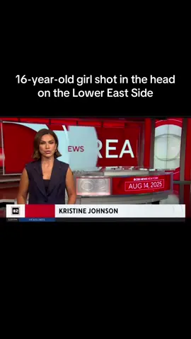Lower East Side Manhattan - A 16-year-old girl was shot in the head on the Lower East Side on Thursday afternoon, the NYPD said. Incredibly, the teen is expected to survive and is being treated at a nearby hospital. Police say the teen was shot inside a building at 210 Stanton St., just south of East Houston by Ridge Street, but it's unclear if it was a targeted shooting or if the victim was an innocent bystander. the gunman is still on the loose and was last seen wearing a gray tank top and fleeing eastbound on Stanton. #realnewsinrealtime #mainstreamnews #news #lowereastside #les 