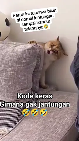 #tiktok 