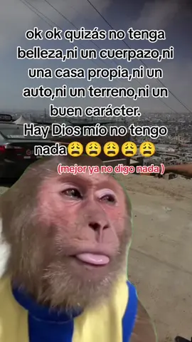 #Meme #MemeCut #CapCut 