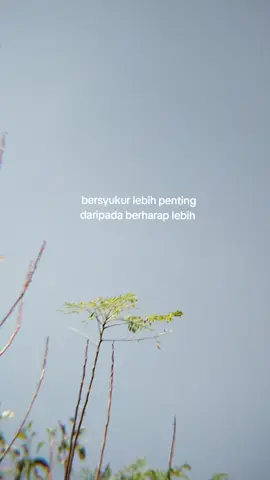 Bersyukur lebih penting daripada berharap lebih #foryou #remember #fyp 
