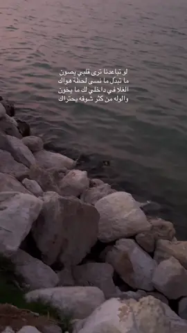 #تصويري  #لو_تباعدنا_ترى_قلبي_يصون  #غيرك_سواك#عبدالمجيدعبدالله #جديد_عبدالمجيد_عبدالله 