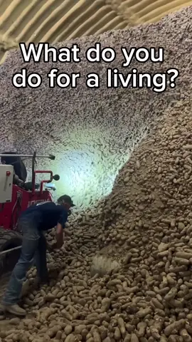 It’s a spudslide! #farming #potato