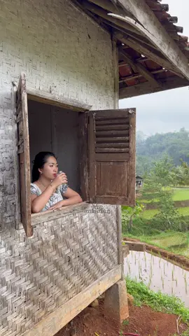 Ngopi bari ningal sawah #tarisofficiall #suasanapedesaan #suasanakampung #pedesaan #gadisdesa 