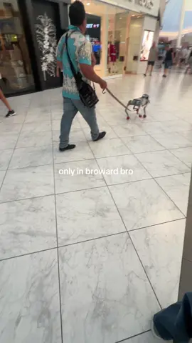 i can’t #fyp #broward #idk #sawgrass #funny 