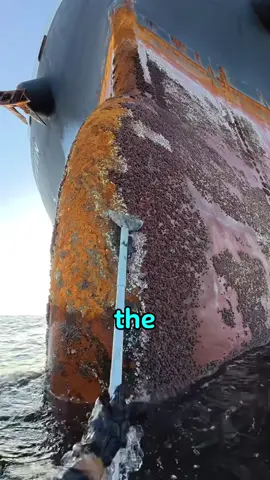 How do barnacles attach to a ship’s propeller? #foryou #tiktok #fyp 