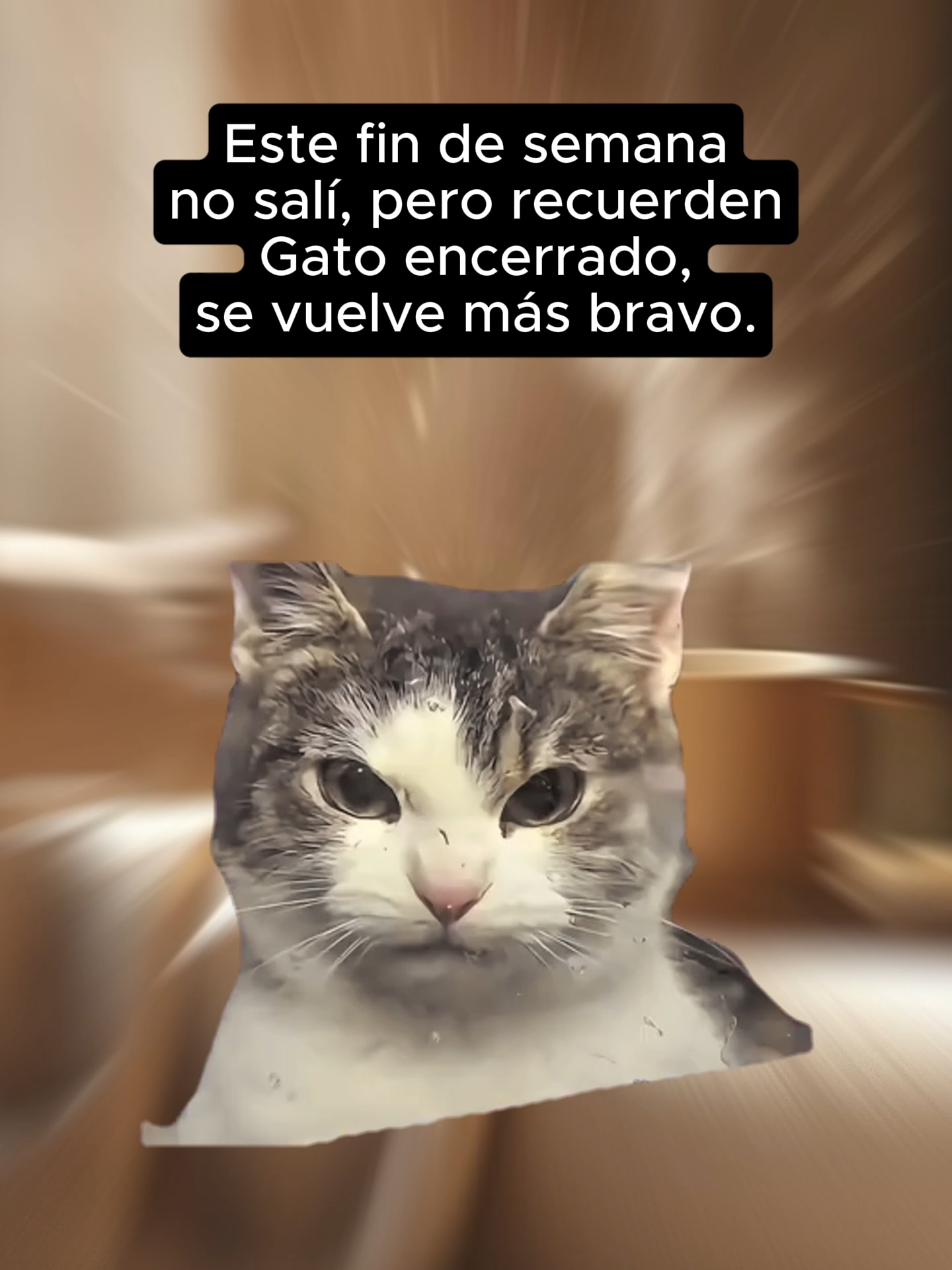 😼🔥 Así que cuando salga, ni me hablen… voy desatado 🚀 #GatoEncerrado #ModoBravo #FinDeSemana