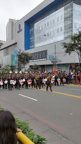 DESFILE PATRIO ✨️  Banda del Ejército del Perú #ejercitodelperu #desfilepatrio #desfilemilitar #peruanosenelmundo #Tiktokperu 