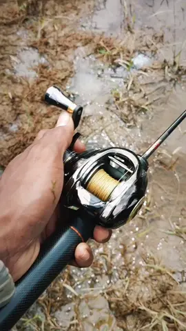 ketua lagi gacor #fishing #castingharuan #mancingliar #fyp 