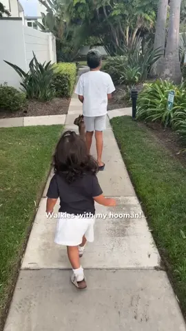 #CapCut 