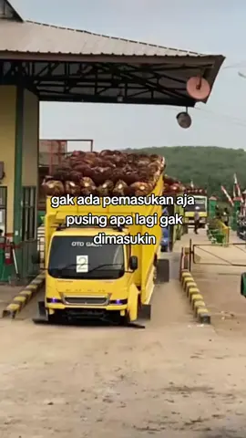 #Story_Konyol_Sopir_Truk  #Story_Sopir_Truk_fvpppp  #Driver_Muda_Punya_Cerita  #viral_tiktok_fvpppp  #Kumpulan_Truk_Style_jambie  @OTO GAEK 