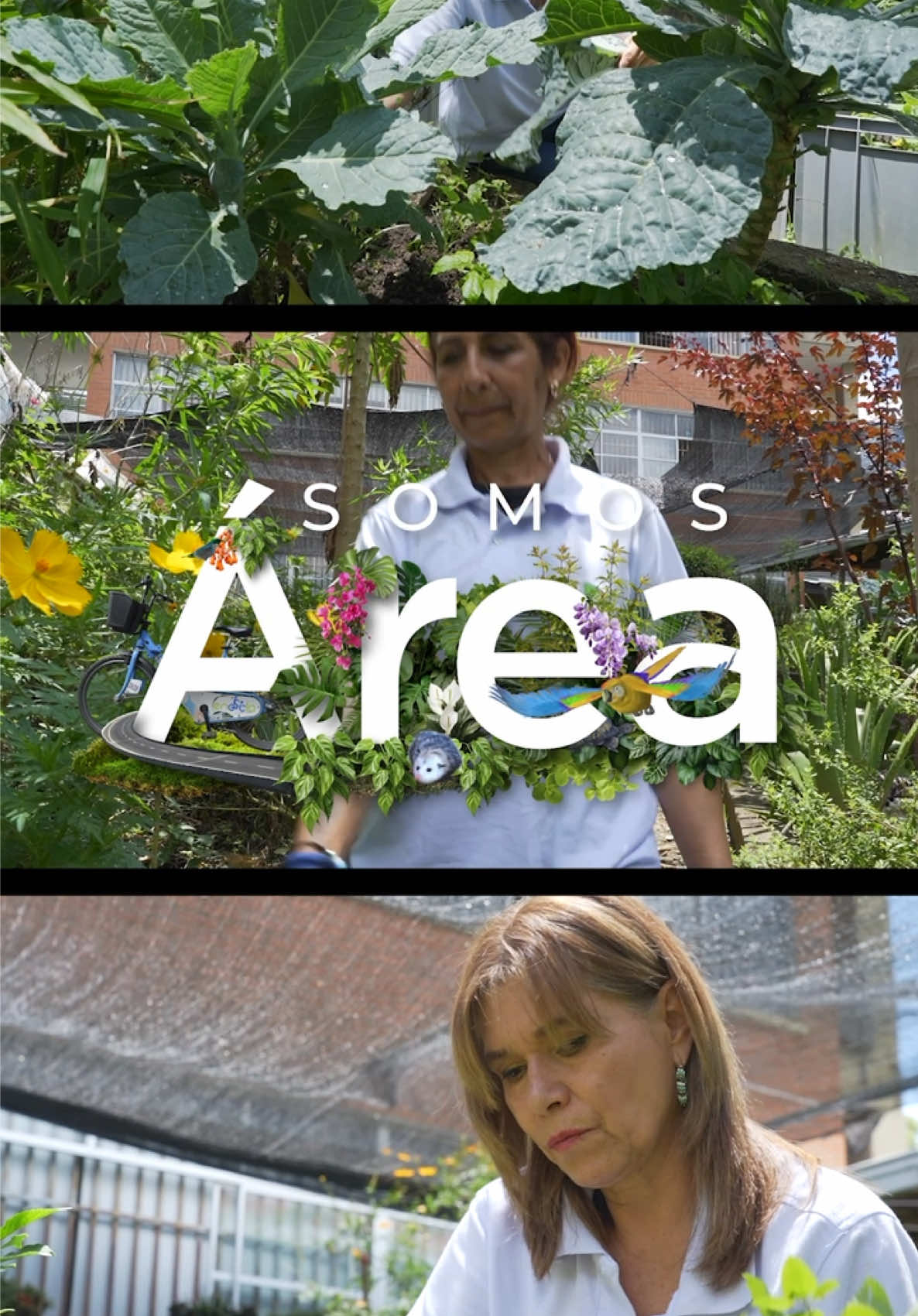 En cada semilla hay una oportunidad para transformar la ciudad.🌱🪴✨ Las Ecohuertas son espacios de vida, aprendizaje y sostenibilidad, donde juntos cultivamos no solo alimentos, sino también conciencia, comunidad y futuro. 💚🍅🥕  En #SomosÁrea este martes a las 6:00 p. m. conoceremos más sobre las Ecohuertas.  Conéctate a nuestra señal en vivo y plataformas digitales. https://telemedellin.tv/senal-en-vivo/