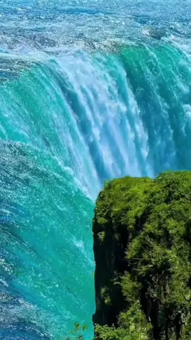 #naturelife #fyppppppppppppppppppppppp #fypシ゚ 