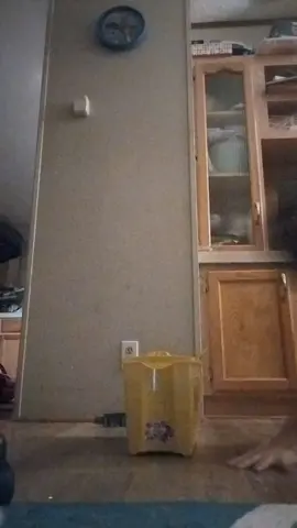 heh heh