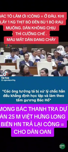#xuhuong #xuhuongtiktok #viethung #hanoi #denbudat 