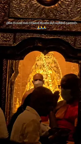 පිං ඇත්තෝ වන්දනා කර ගනිත්වා🙏😇🥰#creatorsearchinsights#kandy #sridaladamaligawa #srilanka #fyp #travel 