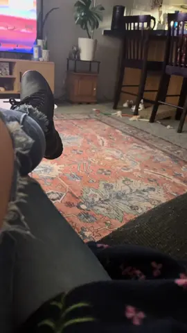 Oh my God, somebody come get this cat #BadCat #CoolCat #LazyCat #fyp #CatsOfTikTok 