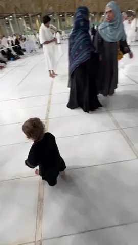 ~اجمل تلاوات المعيقلي.🥹. <br> .<br> <h/> استغفروا ربكم_انه_كان_غفارا #<