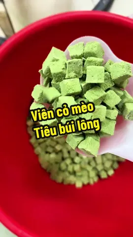 #comeotieubuilong #viencomeomixucga #thanhcomeo #comeo 