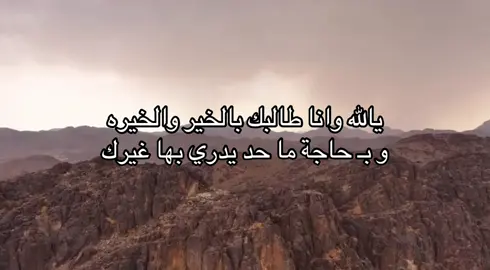 #قصيد #شعر #اكسبلور #explore #fyp 