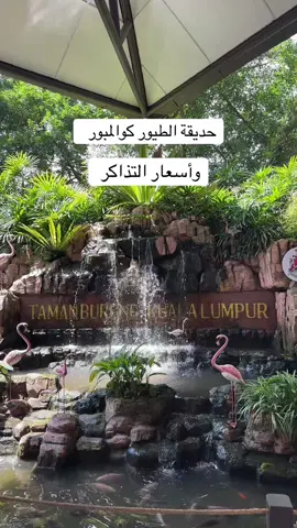 حديقة الطيور كوالمبور وأسعار التذاكر الكبير 90 رنغت والصغير 70 رنغت #ماليزيا #كوالمبور #طيور #السعودية🇸🇦 #الامارات🇦🇪 