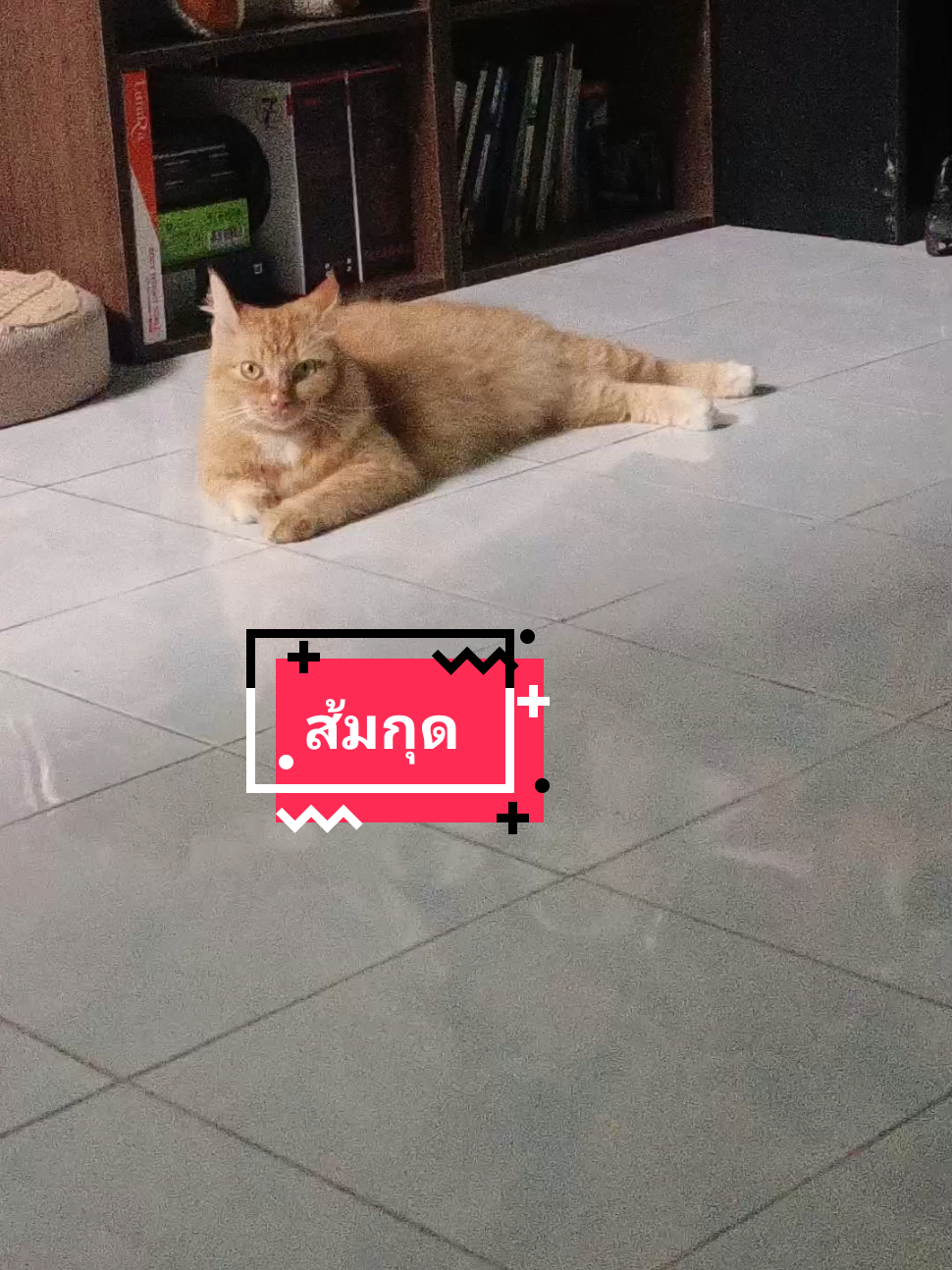 มีคนอยู่หลังบ้านอ่ะนุด😁