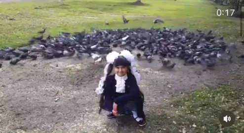 🕊️