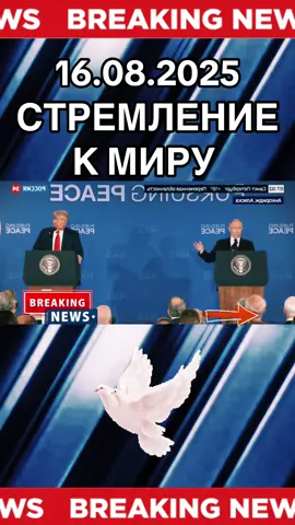 #новости #вести #рекомендации #путин #трамп 