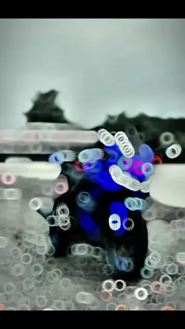 #bike_lavar07 