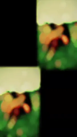 #সবাই_একটু_সাপোর্ট_করবেন_প্লিজ🙏🙏 #tiktok viralvideo foryou  #tiktok learnontiktok  #viralvide❎✅✅❎❎❎❎❎❎❎❎ 