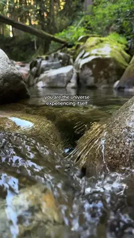 The way you think and interpret your experiences shape your reality. Open your mind and heart to appreciate all the beauty that is around you! 🌿🫶🏼 #nature #naturetherapy #river #slowmotion